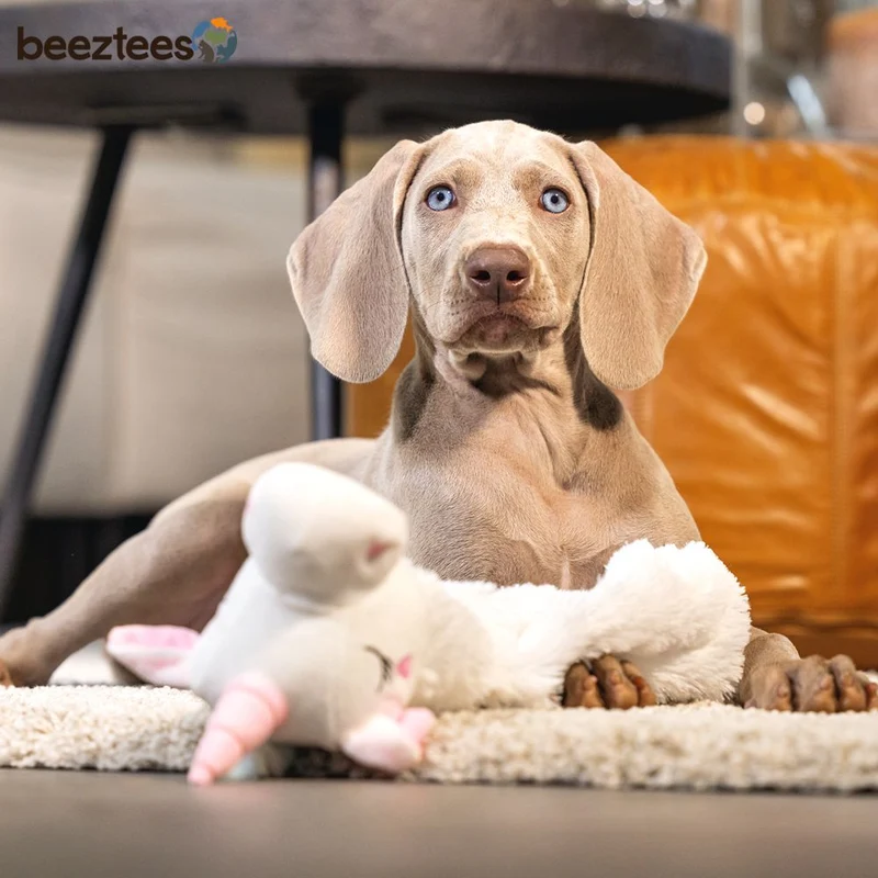 Beeztees Plüsch-Welpenspielzeug Flatino - EINHORN LO - Puppy Plüschspielzeug