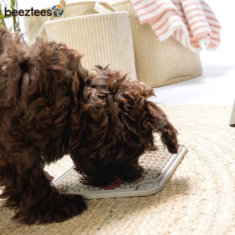 Beeztees Puppy Leckmatte - Schleckmatte Anti-Schlingmatte Silikon grau 20x20cm