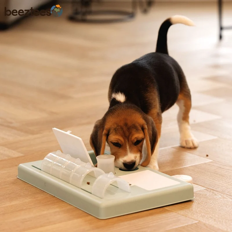 Beeztees Welpen Intelligenzspielzeug RIFF - Hundespiel Denkspiel Snackspielzeug