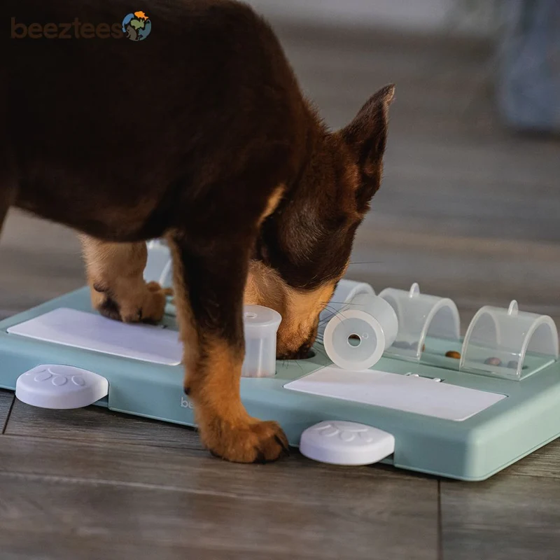 Beeztees Welpen Intelligenzspielzeug RIFF - Hundespiel Denkspiel Snackspielzeug
