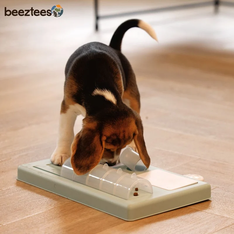 Beeztees Welpen Intelligenzspielzeug RIFF - Hundespiel Denkspiel Snackspielzeug
