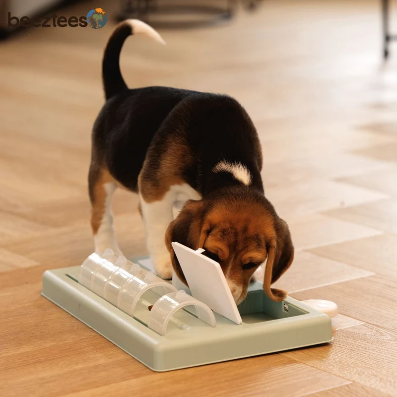 Beeztees Welpen Intelligenzspielzeug RIFF - Hundespiel Denkspiel Snackspielzeug