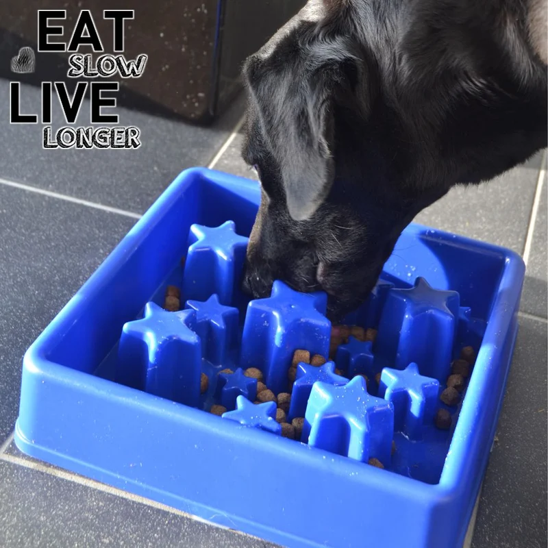 EAT SLOW Anti-Schling-Napf - eckig - 3 Größen - Fressnapf Futternapf Hundenapf