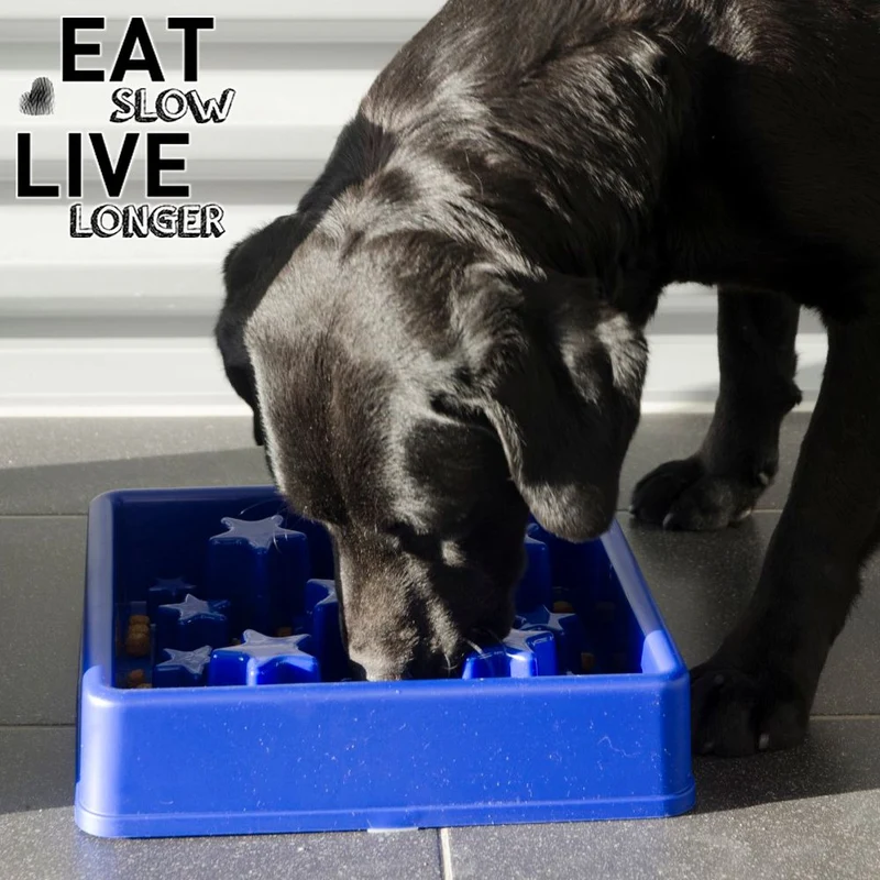 EAT SLOW Anti-Schling-Napf - eckig - 3 Größen - Fressnapf Futternapf Hundenapf