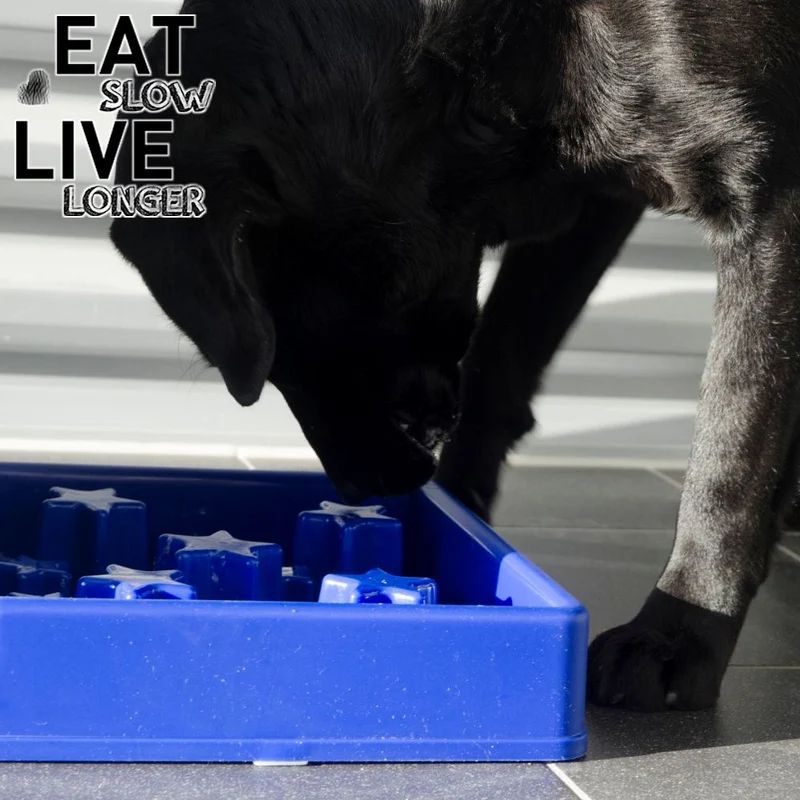 EAT SLOW Anti-Schling-Napf - eckig - 3 Größen - Fressnapf Futternapf Hundenapf