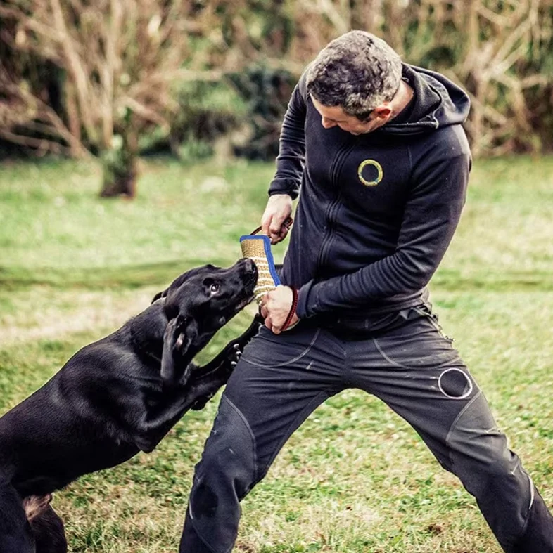 Beißwurst Für Hunde – Robustes Jute-trainingsspielzeug Mit Griffen Für Welpen Erwachsene Hunde
