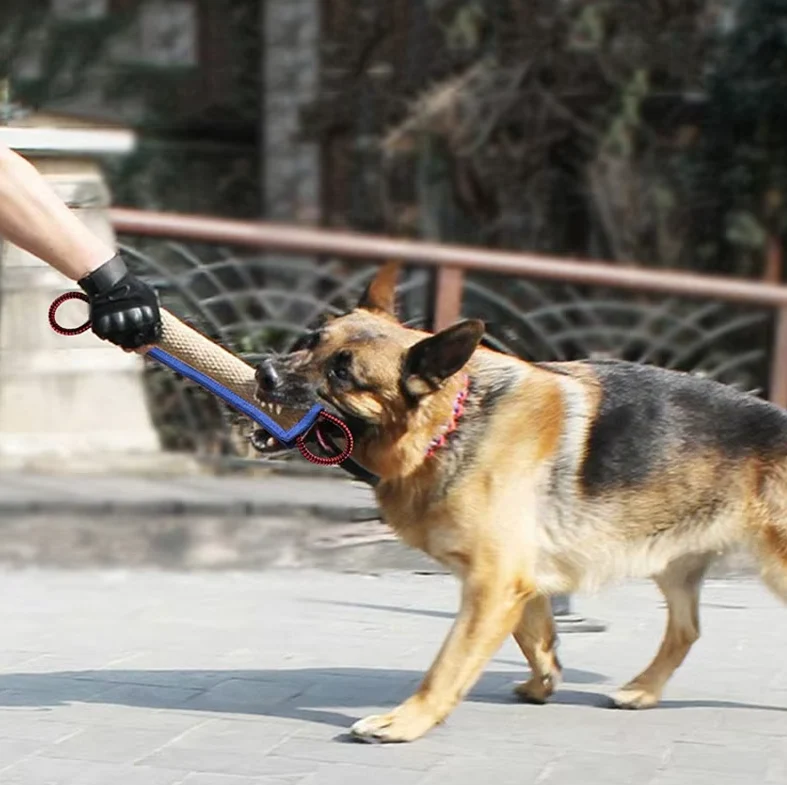 Beißwurst Für Hunde – Robustes Jute-trainingsspielzeug Mit Griffen Für Welpen Erwachsene Hunde