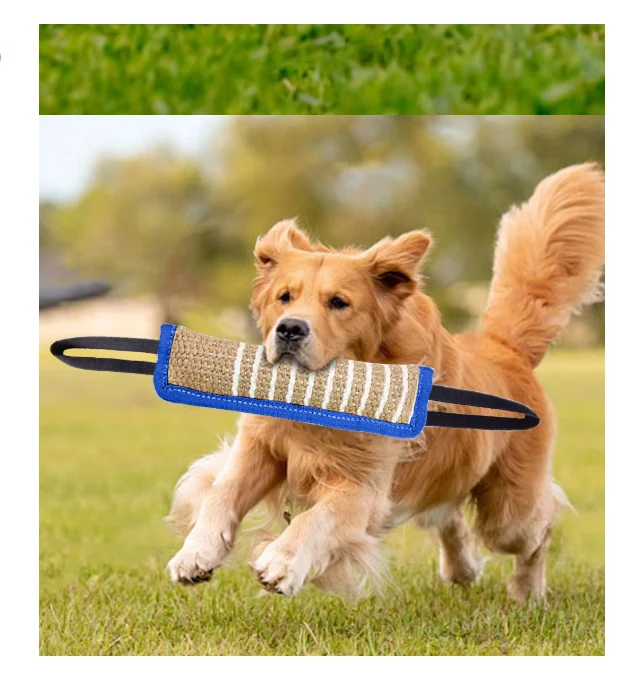 Beißwurst Für Hunde – Robustes Jute-trainingsspielzeug Mit Griffen Für Welpen Erwachsene Hunde