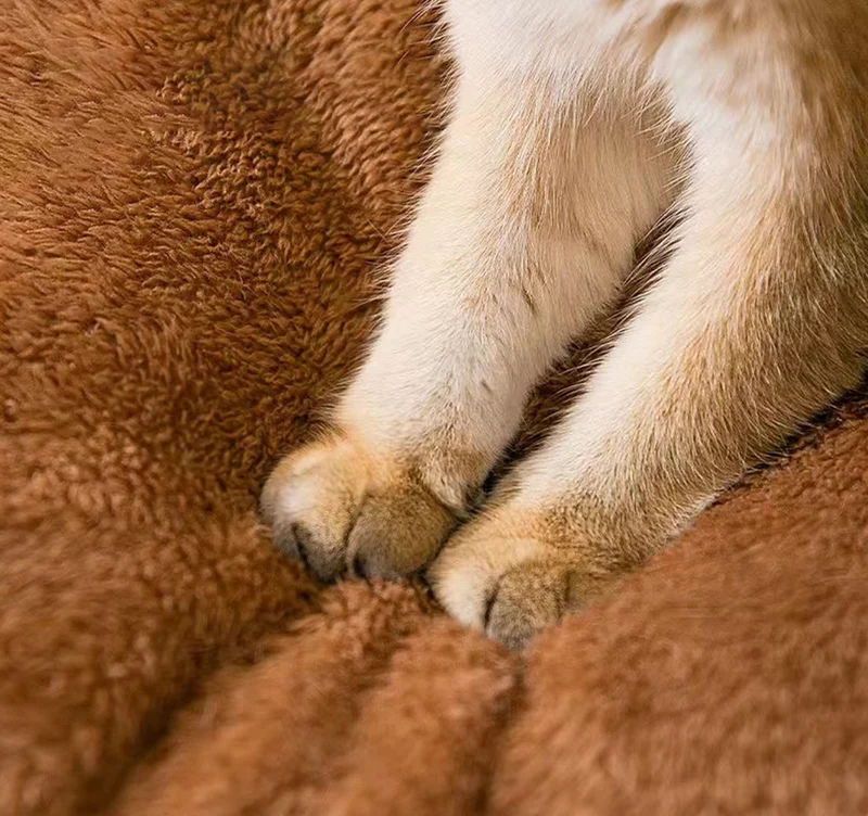 Gemütliches Haustierhaus – Weiches Wärmendes Katzen- und Hundebett mit Kuscheligem Design