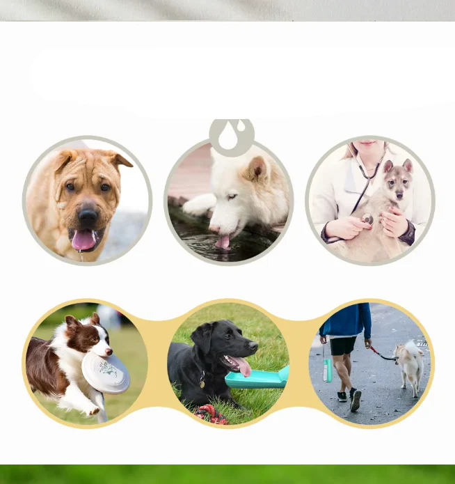 Tragbare Hundewasserflasche – Auslaufsicherer Reise-Spender Mit Integriertem Trinknapf