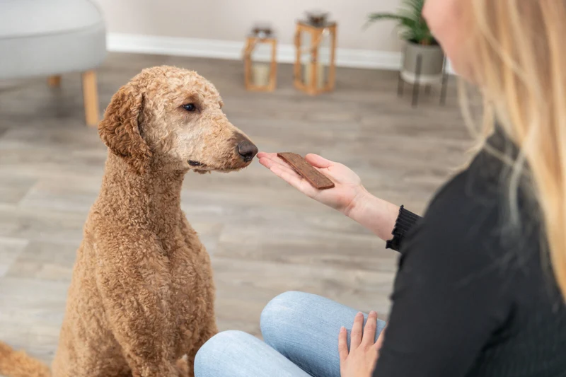 Premio Filets
