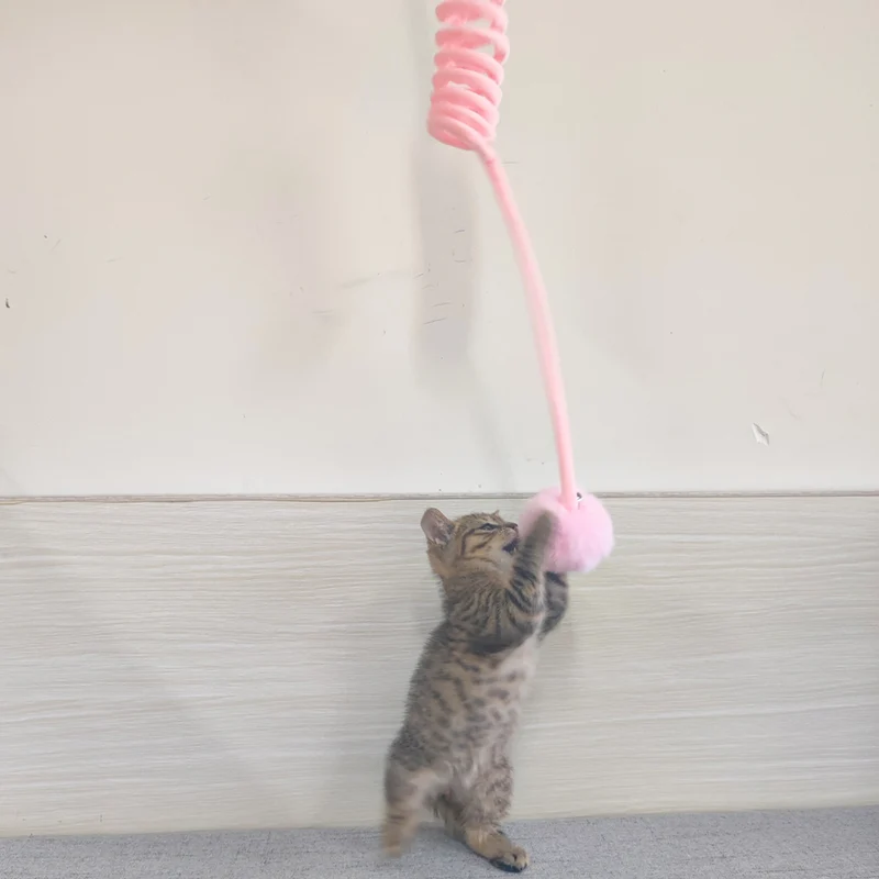 Interaktives Katzen Gummizug Spielzeug