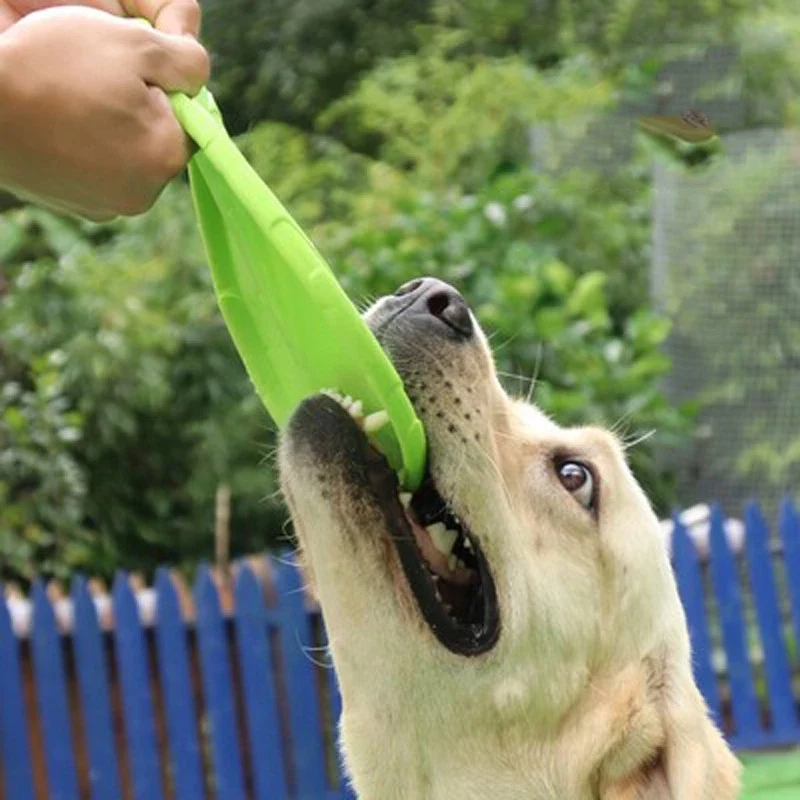Hundespielzeug Frisbee – Robuste Wurfscheibe Für Aktives Spielen