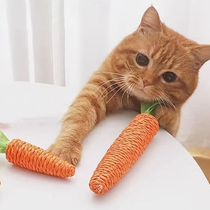 Katzen-Kratzkarotte – Interaktives Sisal-Spielzeug Für Verspielte Stubentiger