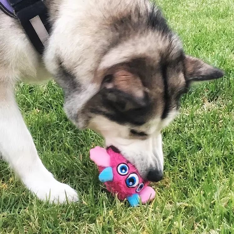 Interaktiver Plüsch-monsterball – Lustiges Spielzeug Für Hunde