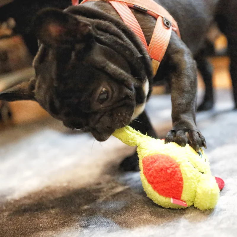 Interaktiver Plüsch-monsterball – Lustiges Spielzeug Für Hunde