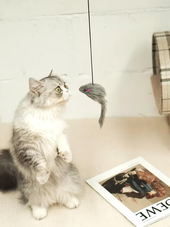 Interaktives Tür-spielzeug – Springende Maus Für Aktive Katzen