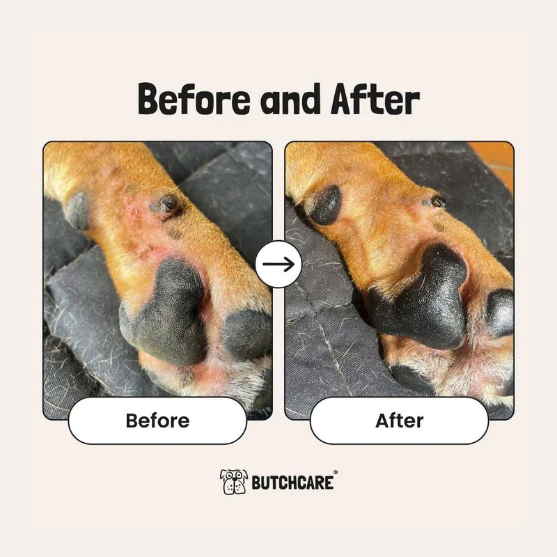 Paw Balm Stick