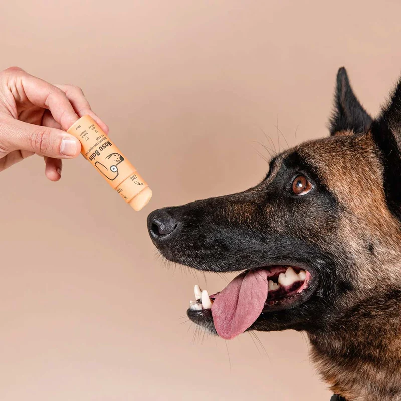 Nose Balm Stick