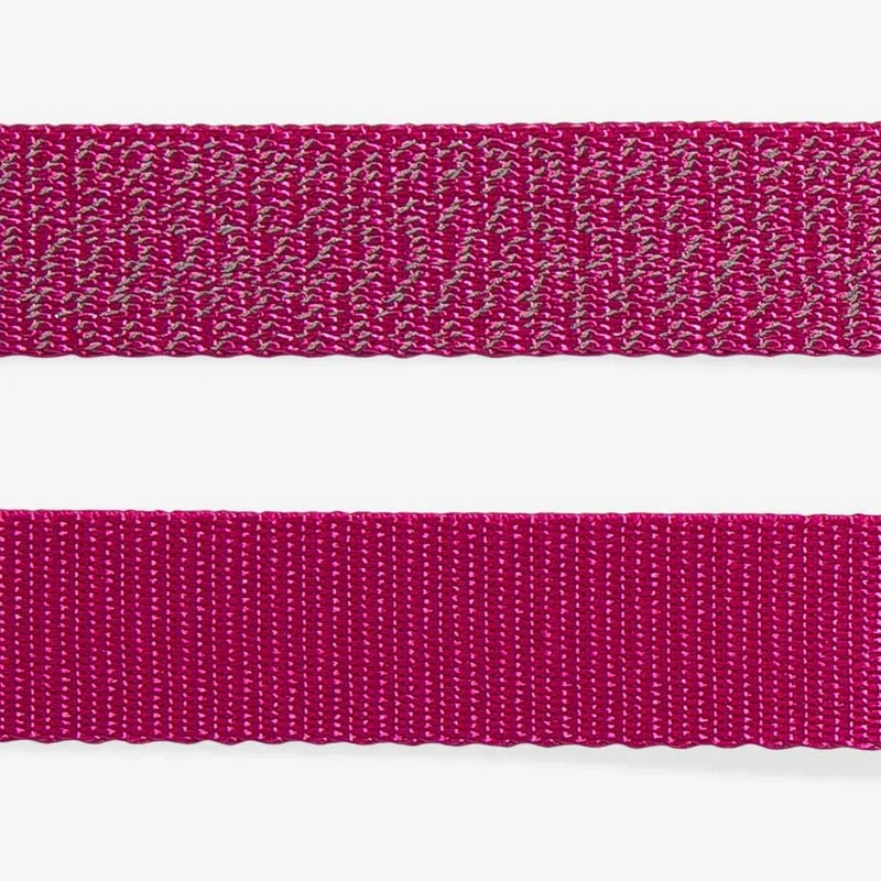 Hundeleine | Nox Sidus Leash