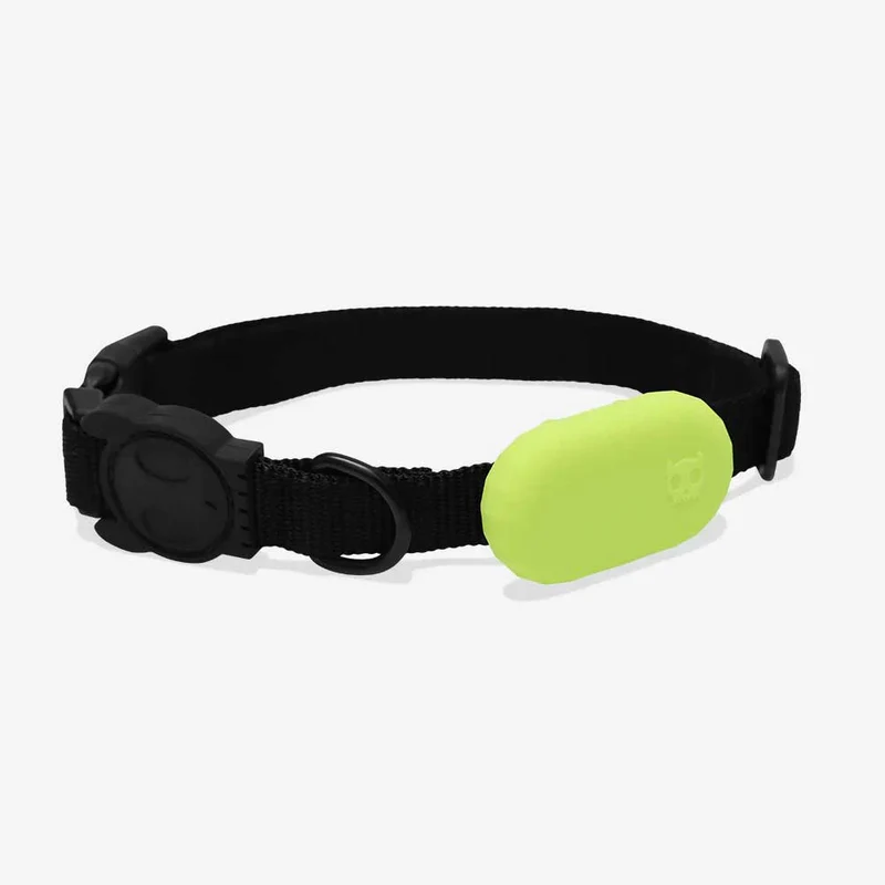 Galaxy Tag Holder, Lime