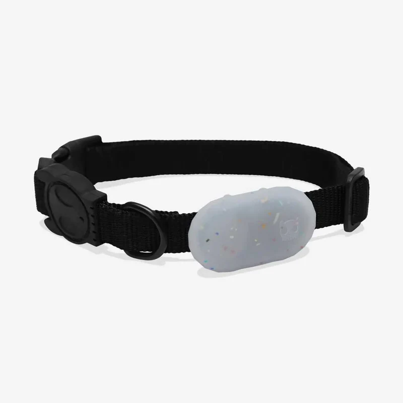 Galaxy Tag Holder, Jelly