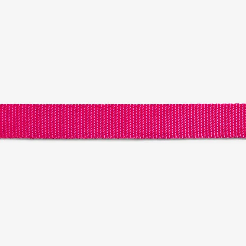 Hundehalsband, Pink Led
