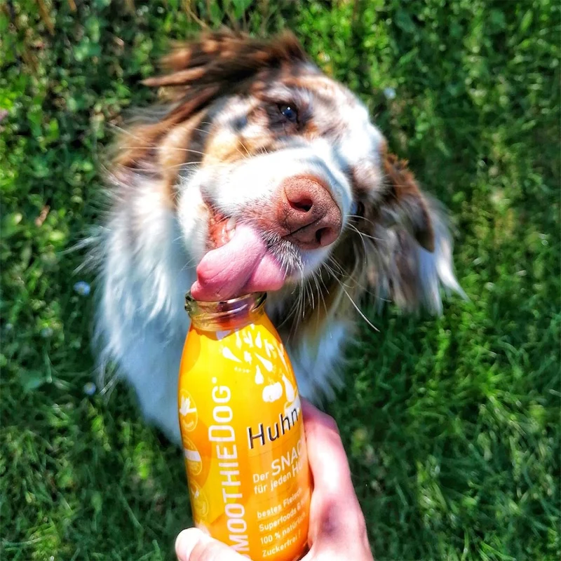 Hundesmoothie, Huhn