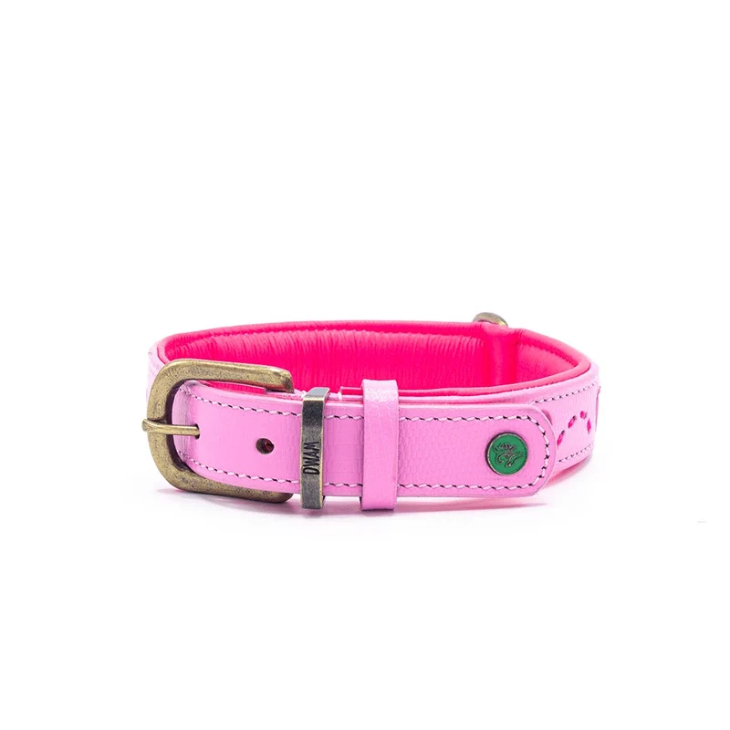 Hundehalsband | Sweety