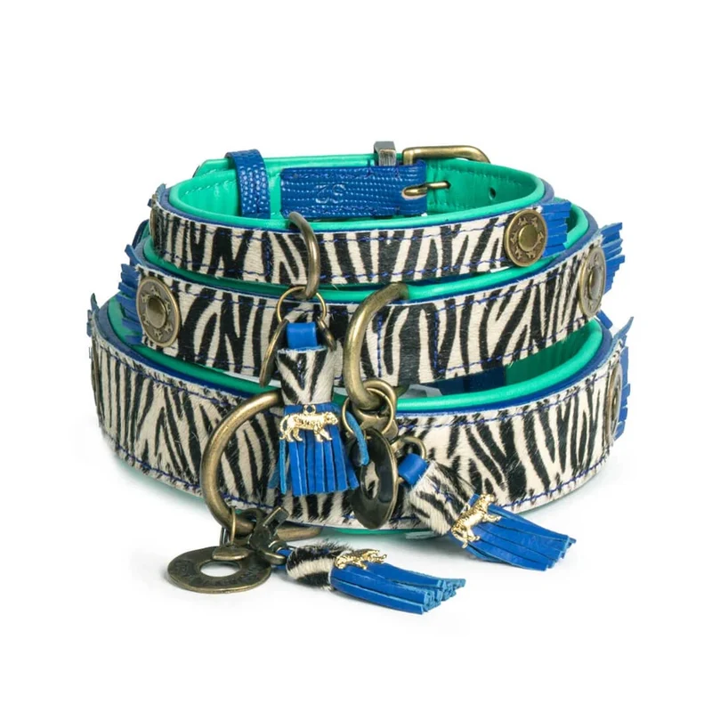 Hundehalsband | Dandy
