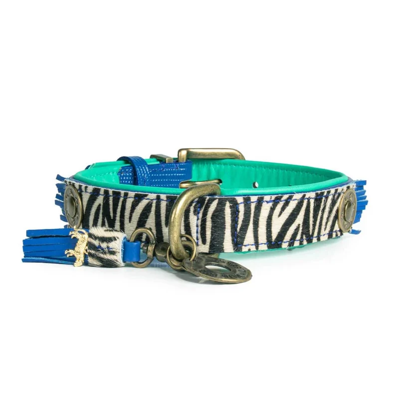 Hundehalsband | Dandy