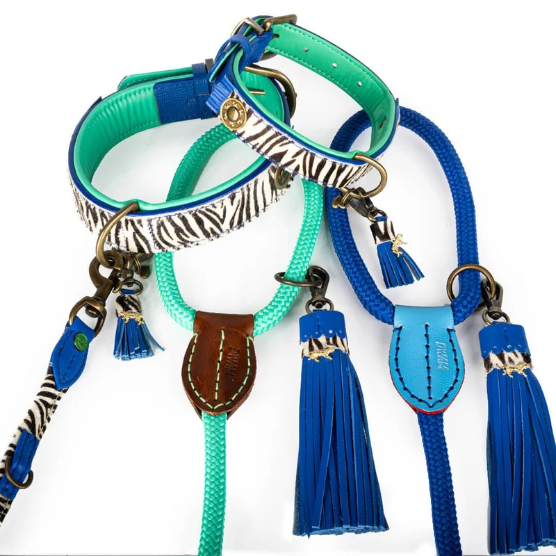 Hundehalsband | Dandy
