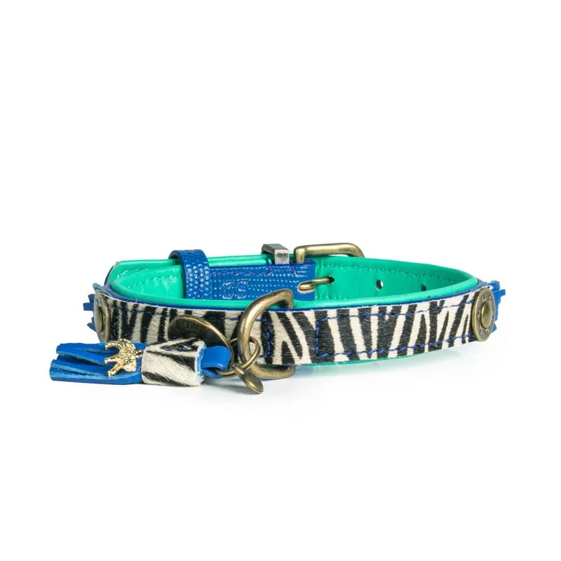 Hundehalsband | Dandy