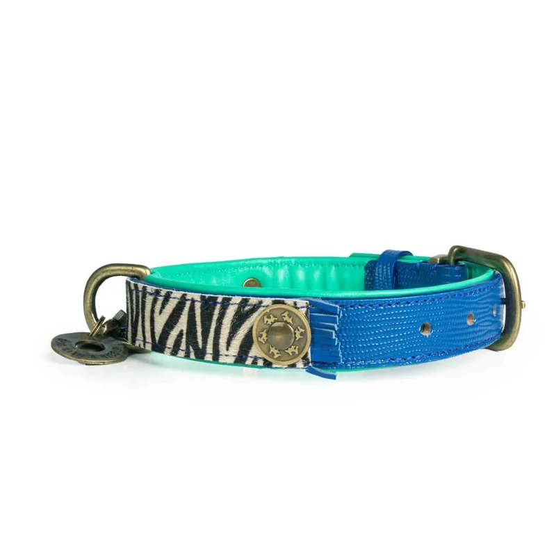 Hundehalsband | Dandy