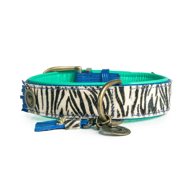 Hundehalsband | Dandy