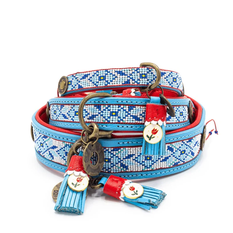 Hundehalsband | Dutchie