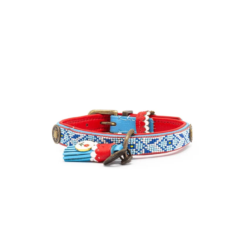 Hundehalsband | Dutchie
