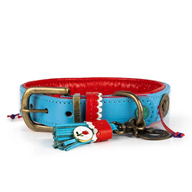 Hundehalsband | Dutchie