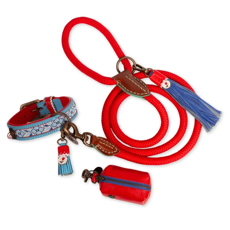 Hundehalsband | Dutchie