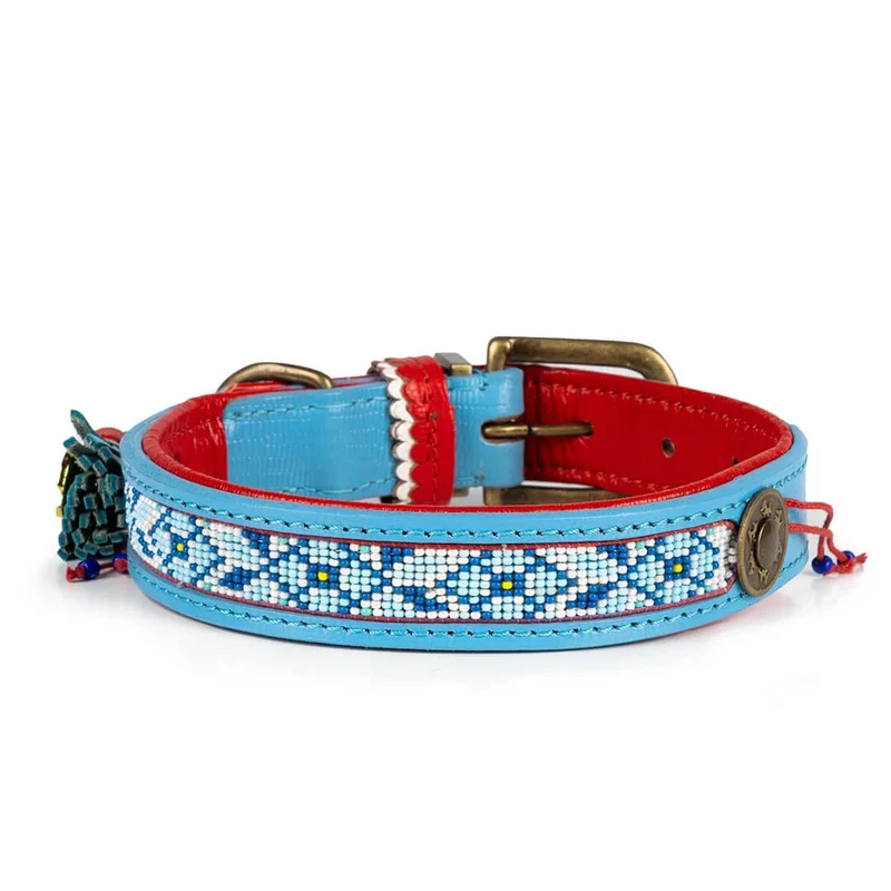 Hundehalsband | Dutchie
