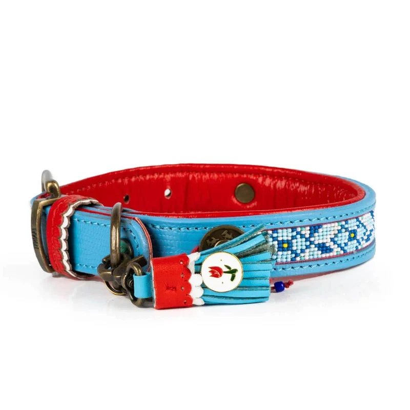 Hundehalsband | Dutchie