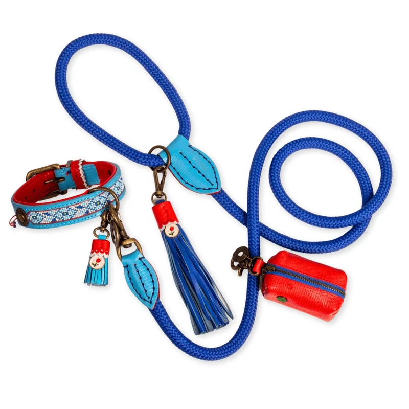 Hundehalsband | Dutchie