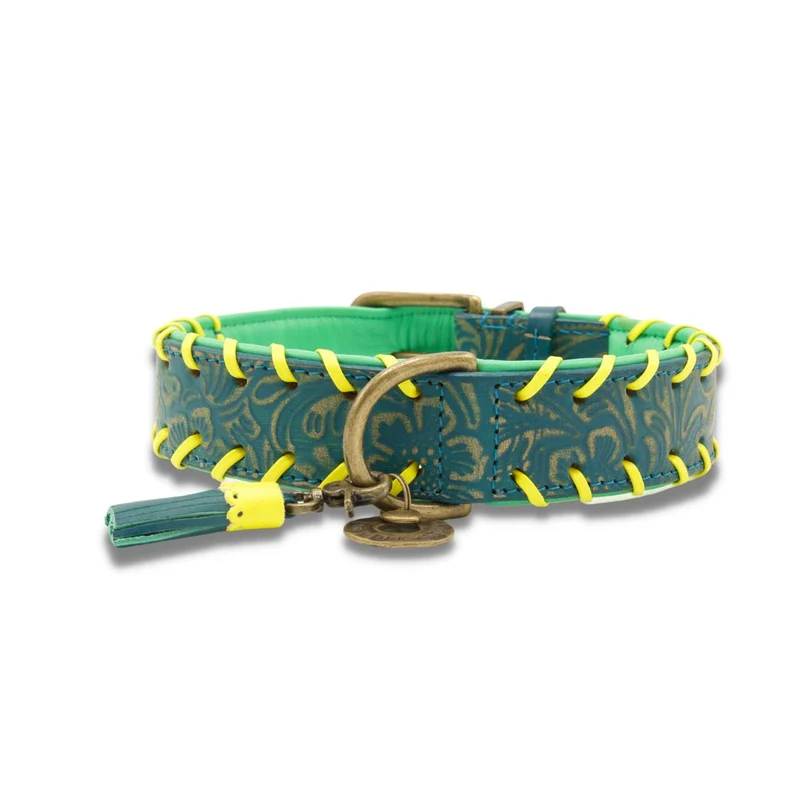 Hundehalsband | Jack