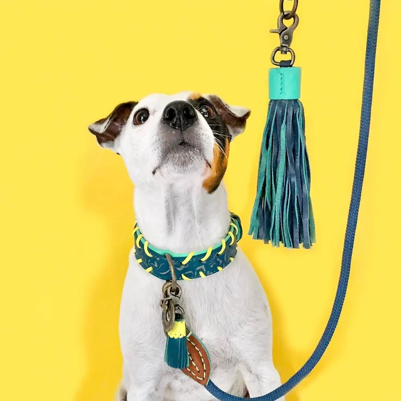 Hundehalsband | Jack