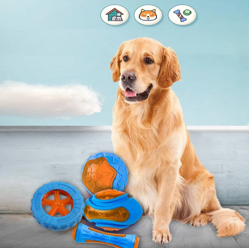 Robustes Hundespielzeug-Set – Interaktive Beiß- Quietschspielzeuge