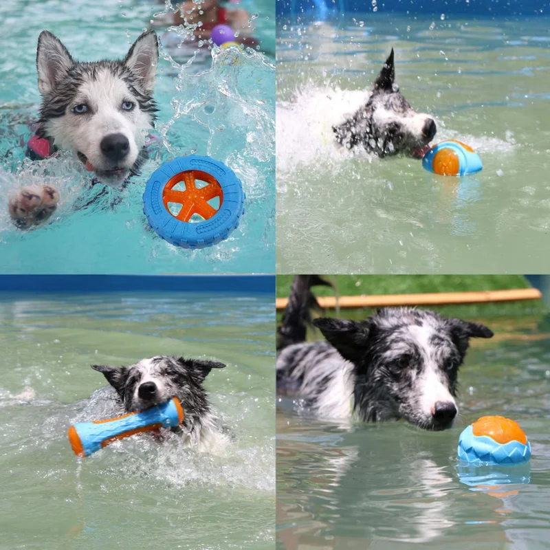 Robustes Hundespielzeug-Set – Interaktive Beiß- Quietschspielzeuge