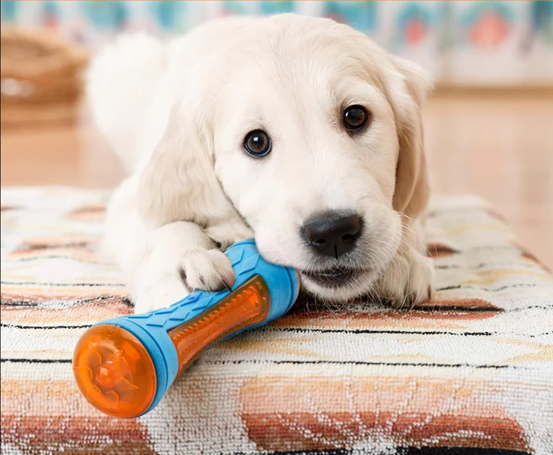 Robustes Hundespielzeug-Set – Interaktive Beiß- Quietschspielzeuge
