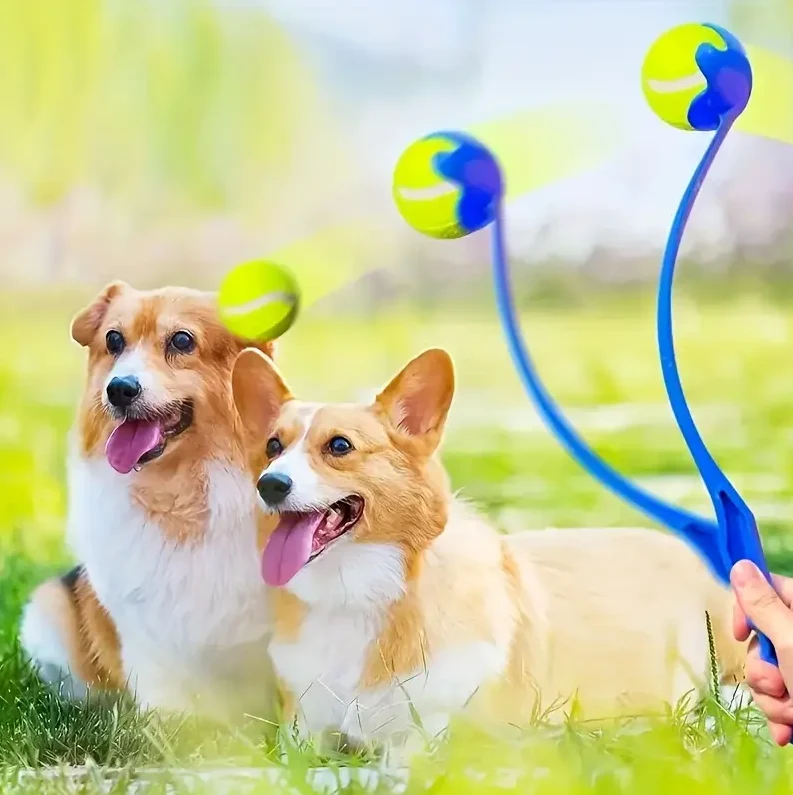Hunde-ballwerfer – Weitwurf-spielspaß Für Aktive Vierbeiner