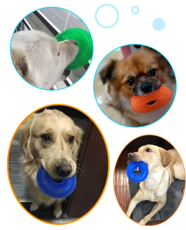 Hundespielzeug Kauring – Robustes Beißspielzeug Zur Zahnpflege Massage