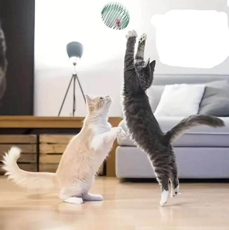 Mäuse In Spiralkäfig – Beutespiel Für Katzen